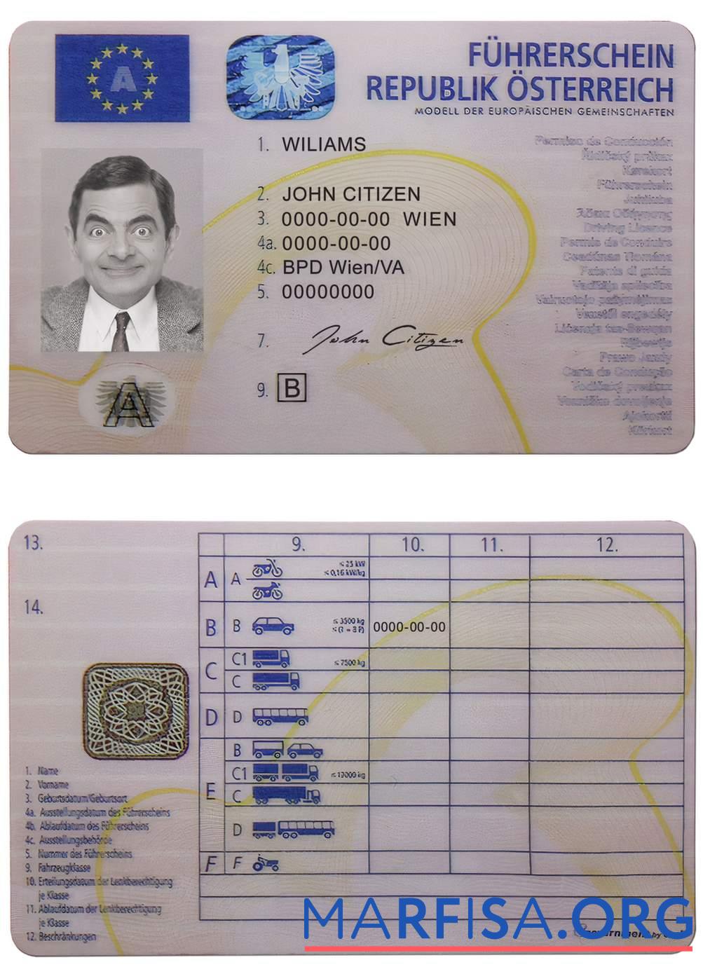 Realistic Austria driving license template